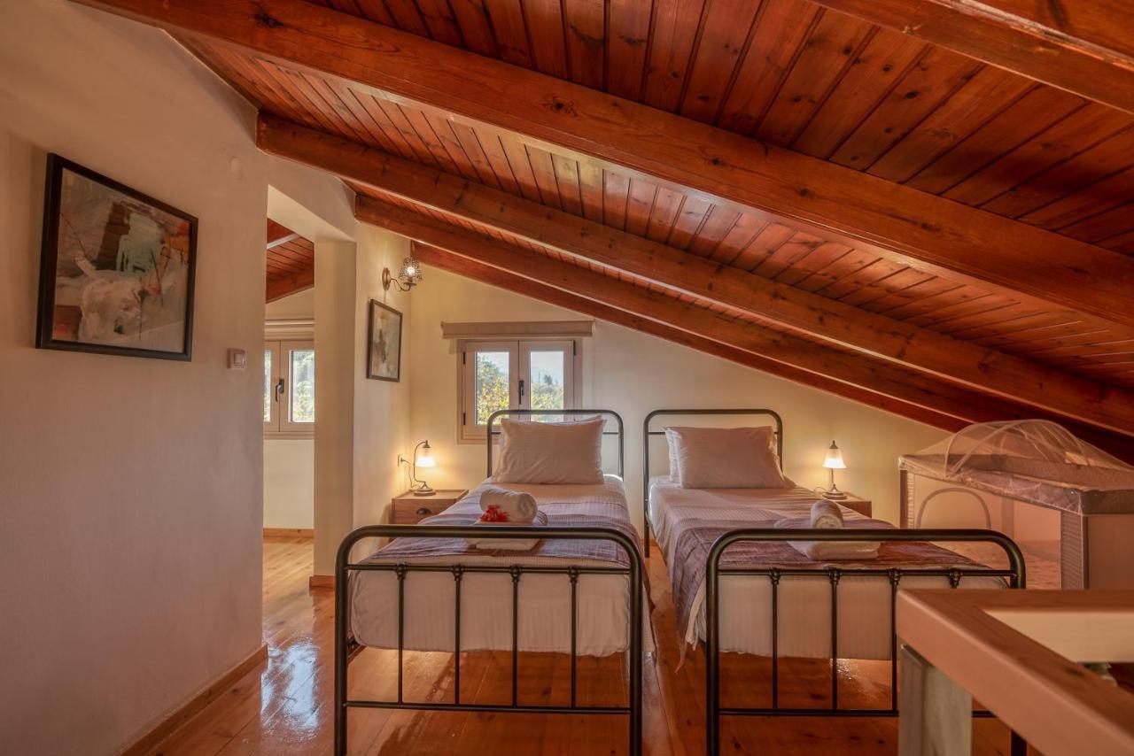 Avocado Iason Villa *